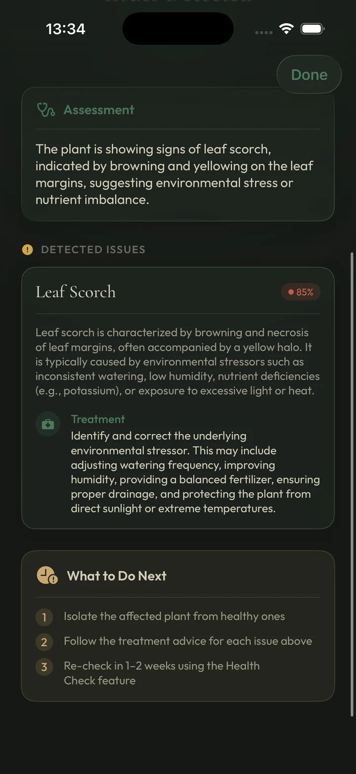 Florium health diagnosis showing leaf scorch with 85 percent confidence, an assessment, treatment notes and a numbered next-steps list